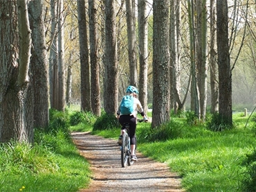 Ashley Rakahuri Regional Park